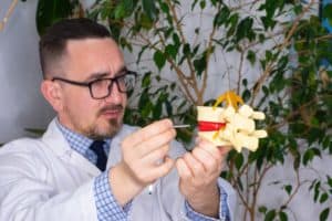 how-to-heal-a-bulging-disc-naturally